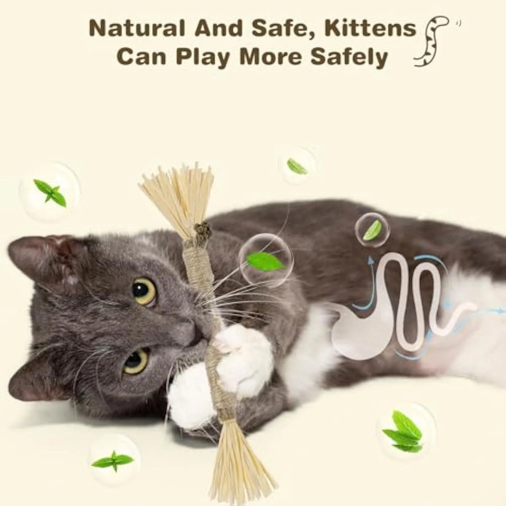 3-pack of natural silvervine chew sticks for cats with sisal rope, showing thick and fine diameter options.
