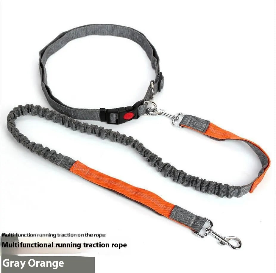 2.5cm wide outdoor running dog leash with night reflective sling in grey and green colour combination