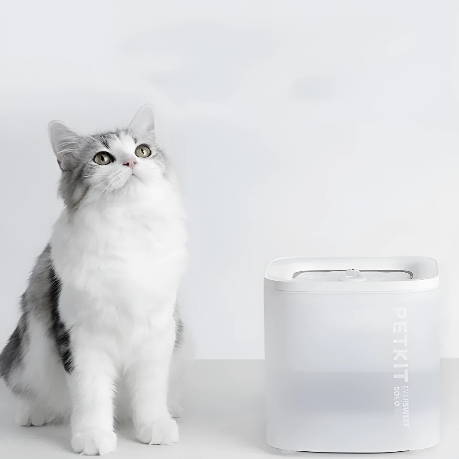 Xiaopei Solo smart automatic pet water dispenser with wireless loop filter for dogs and cats