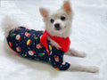 Family Christmas matching pyjamas set in cotton with coordinated designs for all family members including dogs