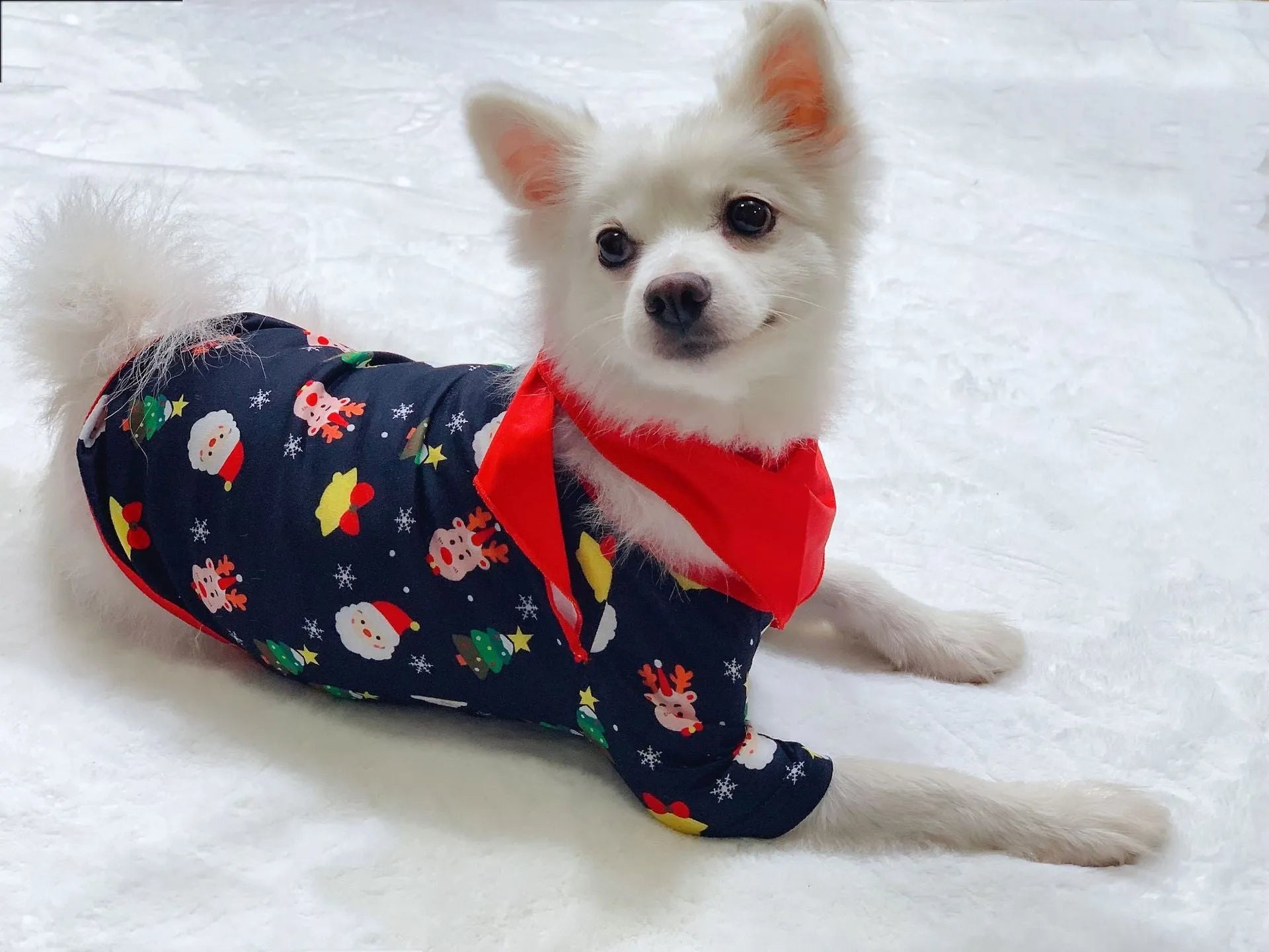 Family Christmas matching pyjamas set in cotton with coordinated designs for all family members including dogs