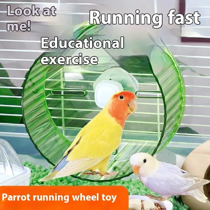 Parrot wheel running toy for birds in transparent plastic with rotating mechanism