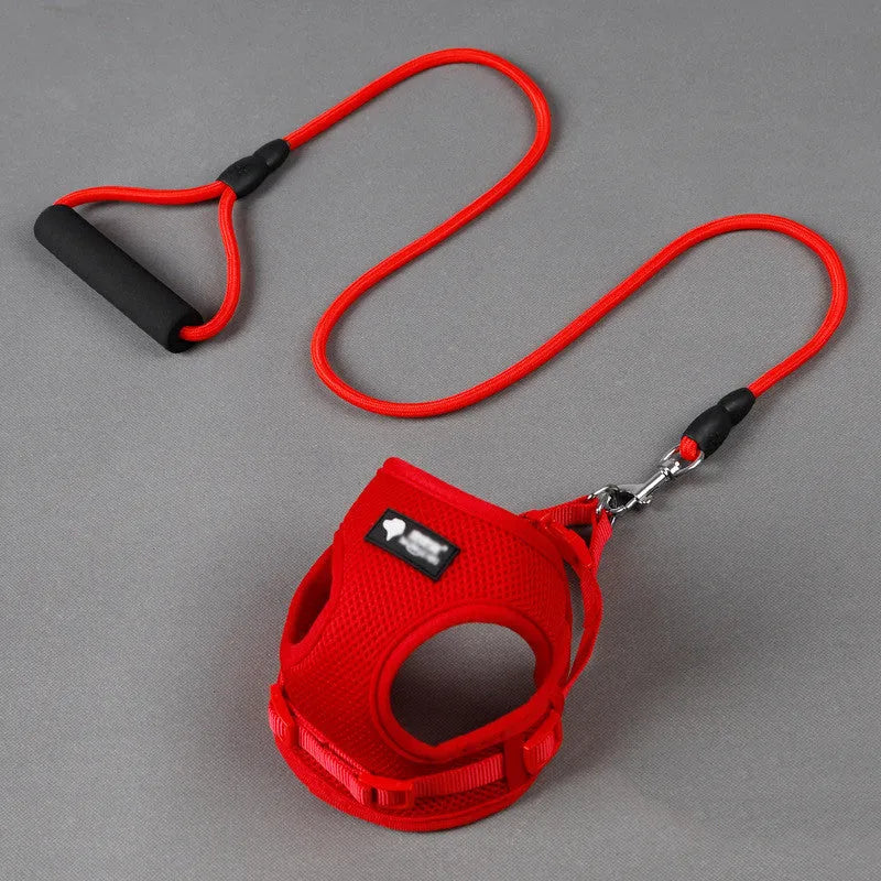 Blue dog leash with foam handle and matching collar on a white background.