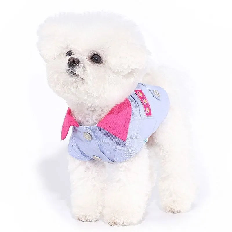 Blue and purple polyester dog vest with integrated traction rope ring for small dogs