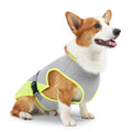 Light gray polyester dog cooling vest for summer wear on a medium-sized dog.