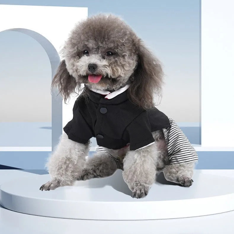 Cotton poodle dog clothes in four-foot pants and skirt styles for small dogs