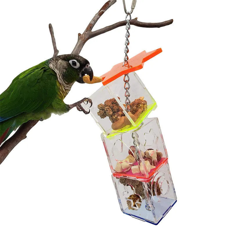 Clear acrylic bird foraging toy measuring 5x5x32cm for parrot enrichment with treats