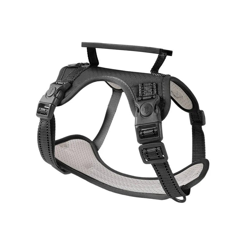 Adjustable polyester dog chest harness and lead in various colours on a white background