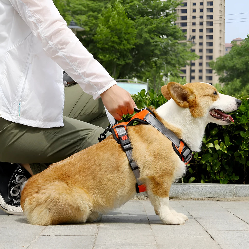Polyester dog chest strap vest with optional hand-held rope in various colours for medium to extra-large dogs