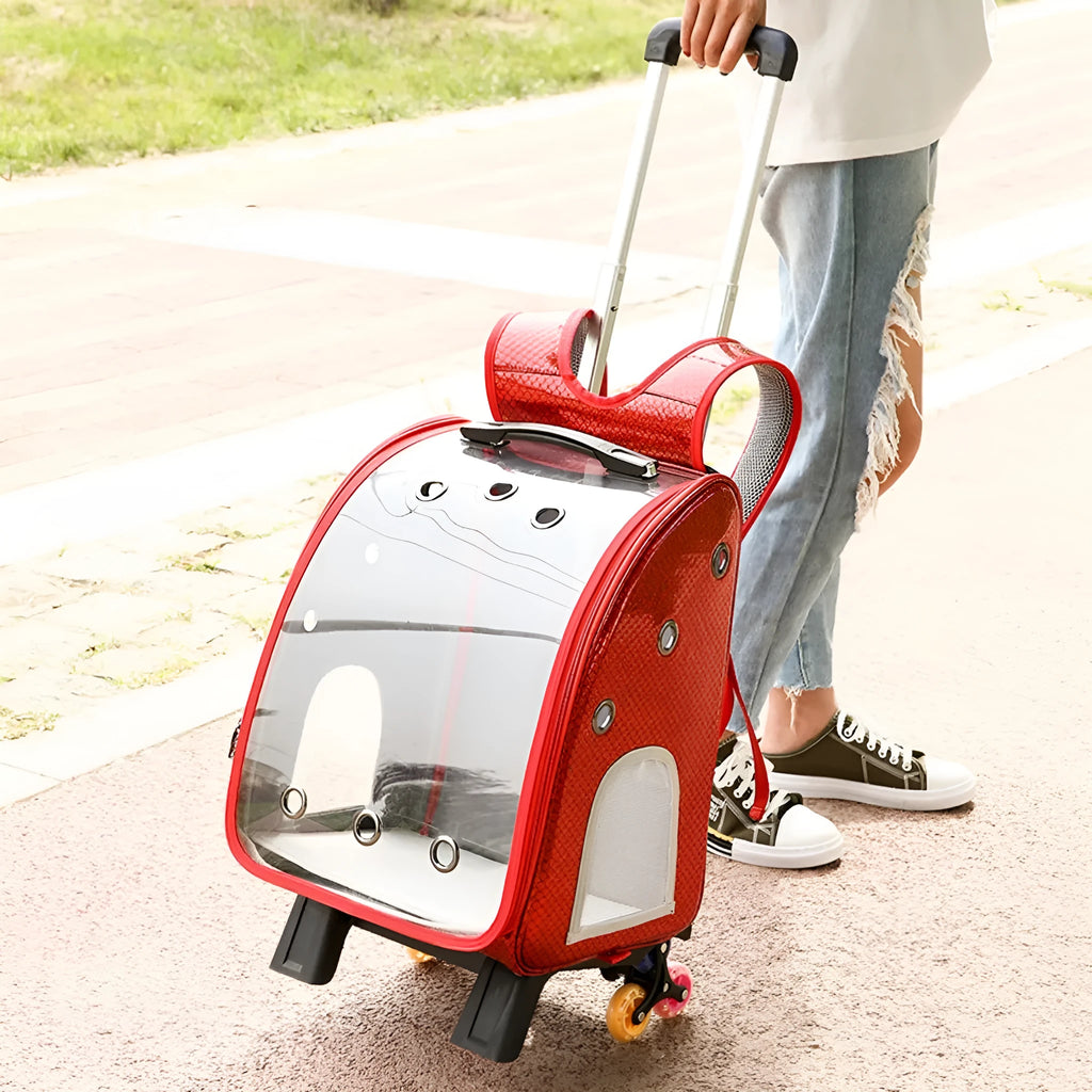 Transparent pet trolley bag with folding shoulder strap in blue colour