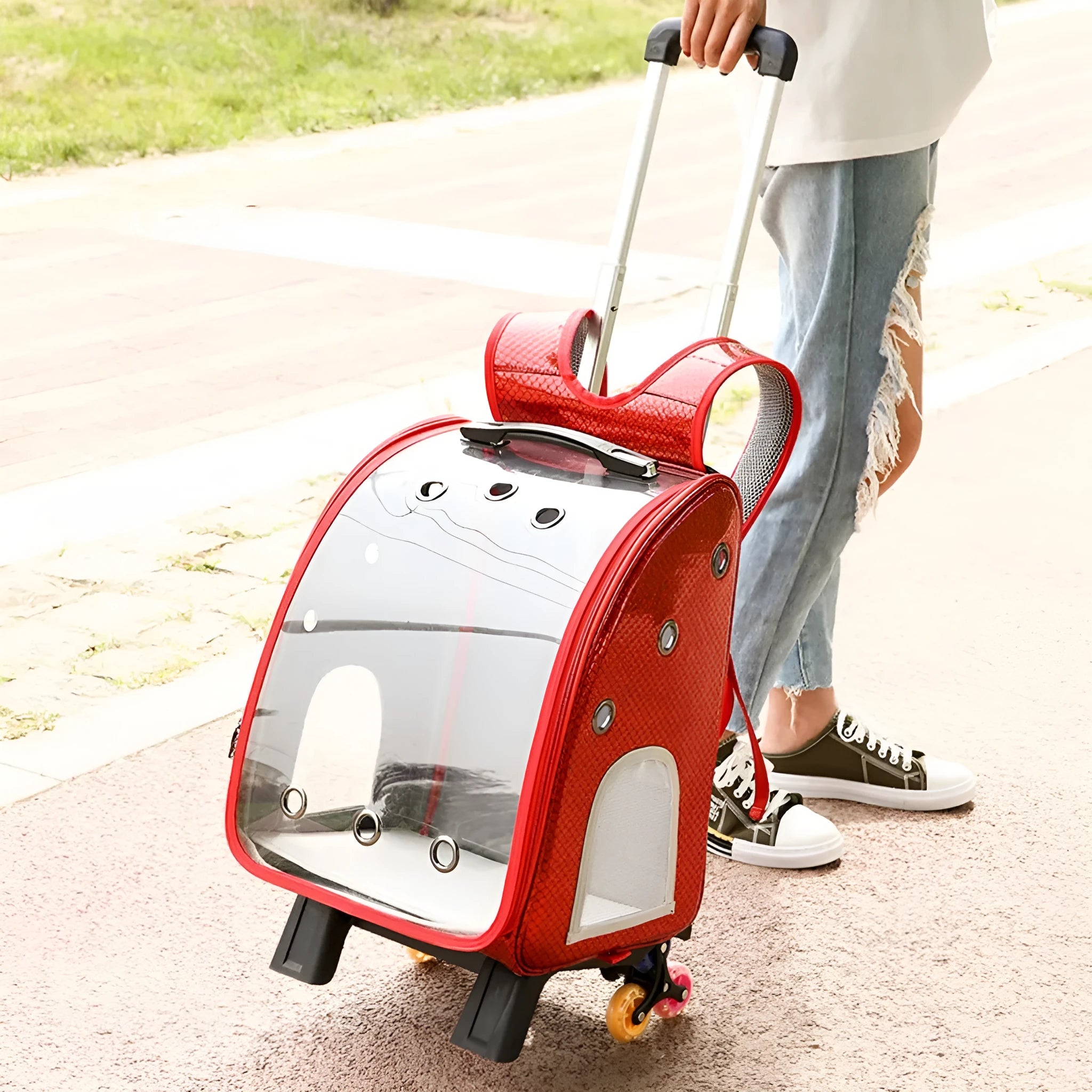 Transparent pet trolley bag with folding shoulder strap in blue colour