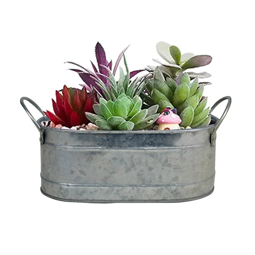 Iron sheet succulent flowerpot for desktop use with corrosion-resistant construction