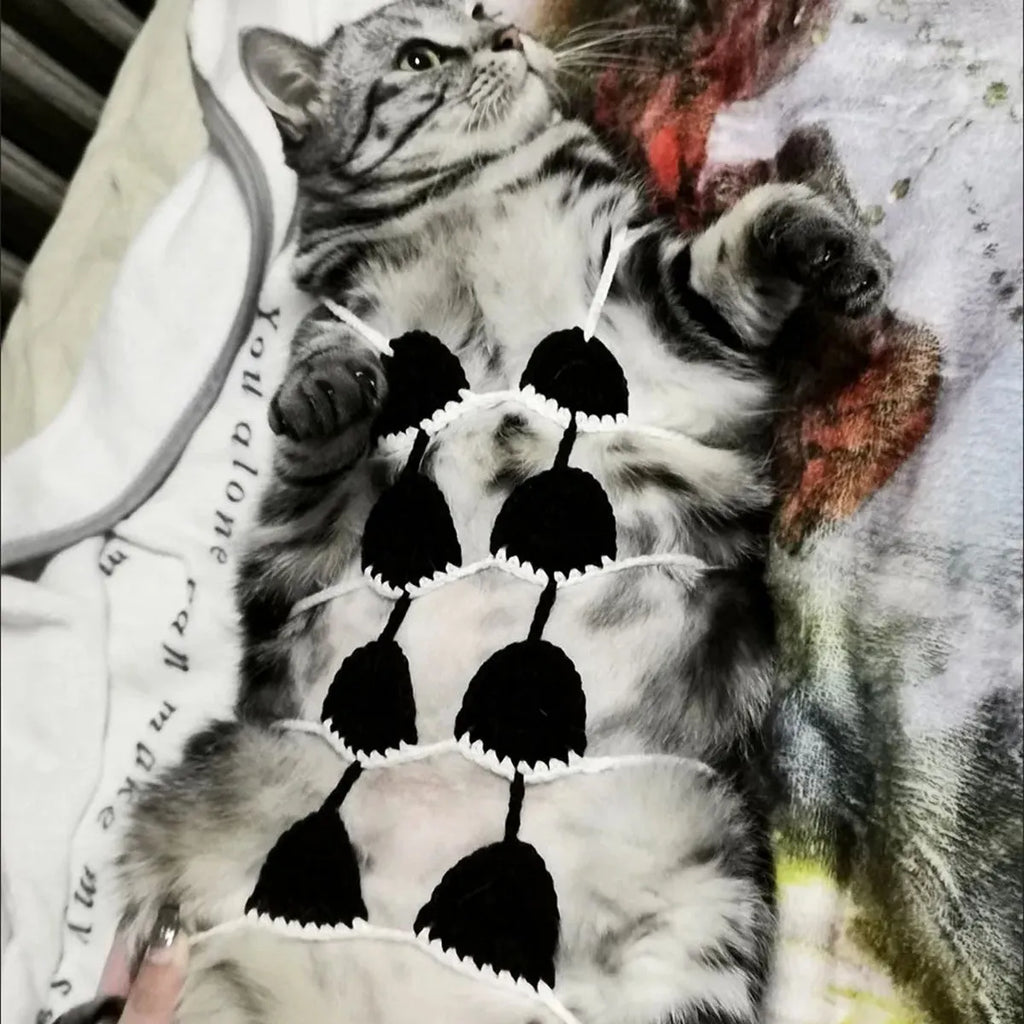 Cat wearing bikini costume in multiple colour options for festival parties