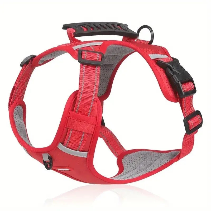 Adjustable polyester dog chest harness and lead in various colours on a white background