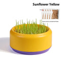 Blue, green, and yellow plastic cups with cat grass seeds for hydroponic growing kit.