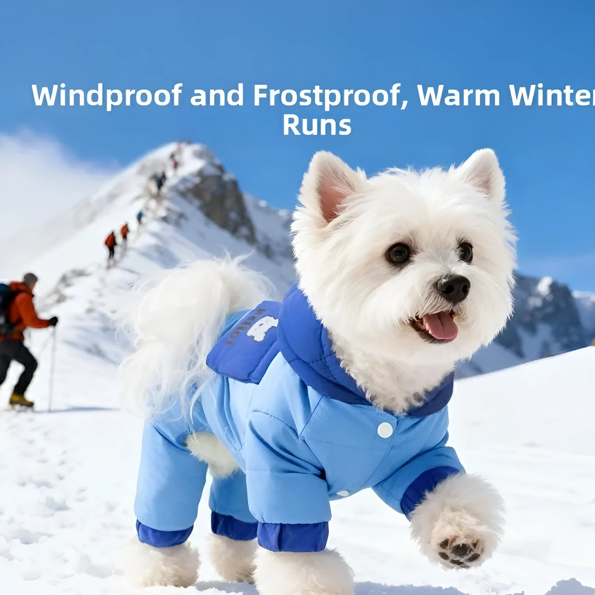 Blue padded dog snowsuit with hood, bear print pocket and metal leash ring for small dogs and cats