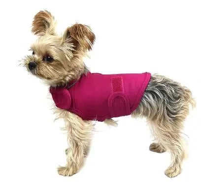 Dog wearing separation anxiety tank top in brocade cotton Ponte-de-Roma fabric