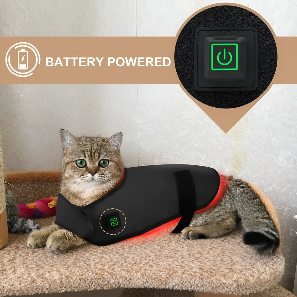 Black pet red light infrared physiotherapy device with wireless portable design and protective cover.