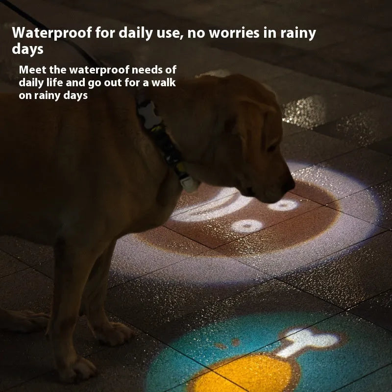 Pet luminous collar light attached to dog collar with four colour pattern options displayed