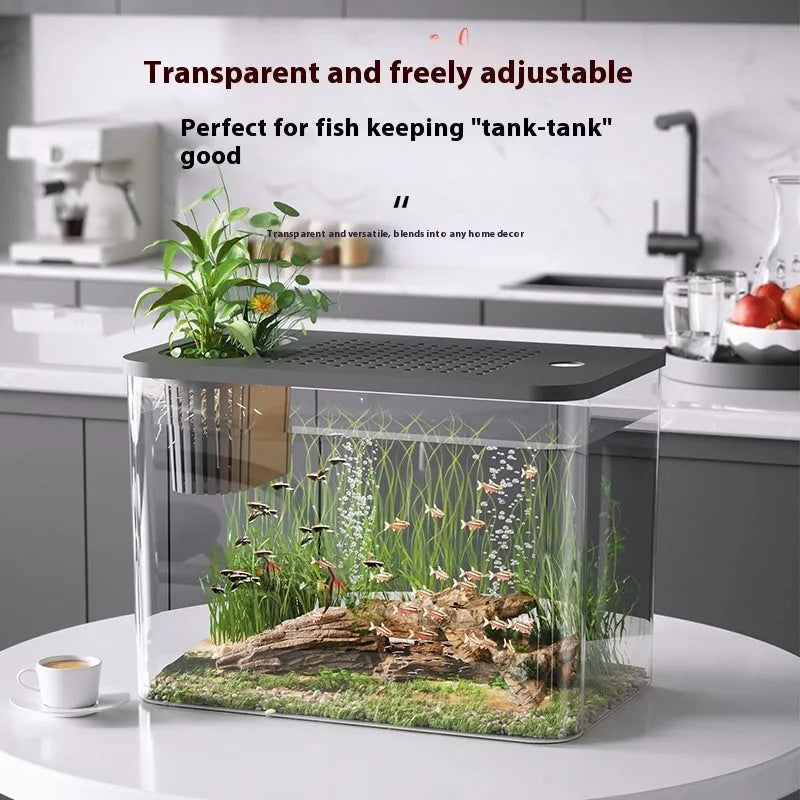 Medium plastic betta fish tank with cover in black and white colour options showing dimensions
