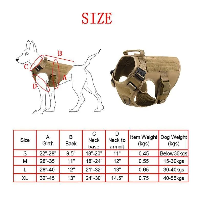 Dog wearing combat vest training gear with chain ring and rope components