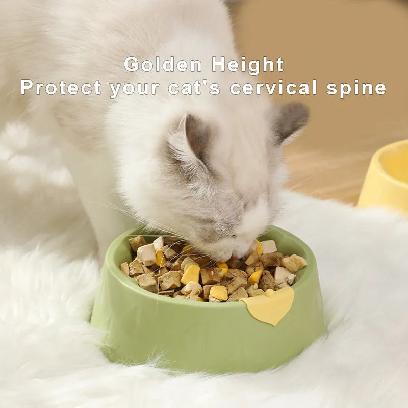 Green plastic double bowl for dog and cat food and water with anti-tip base.
