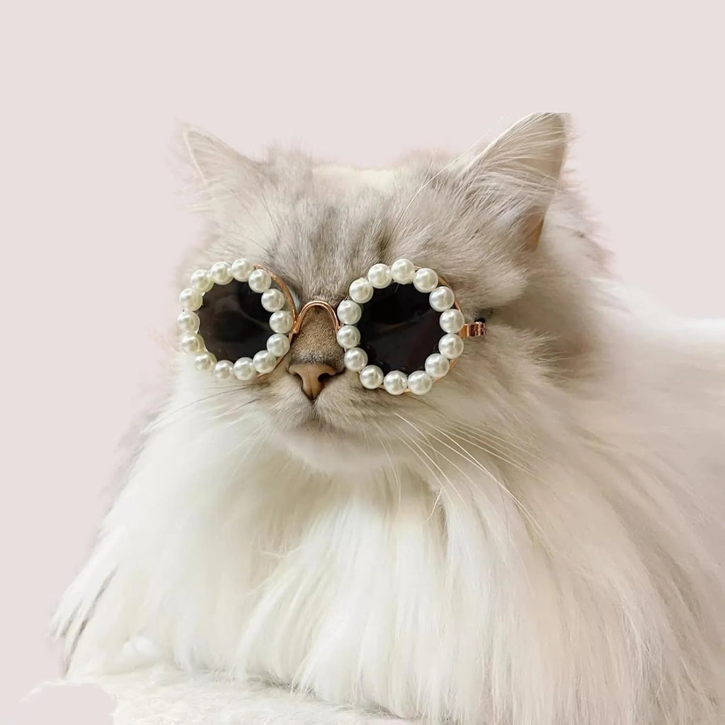 Pearl-rimmed round sunglasses on a cat and dog for costume dress up