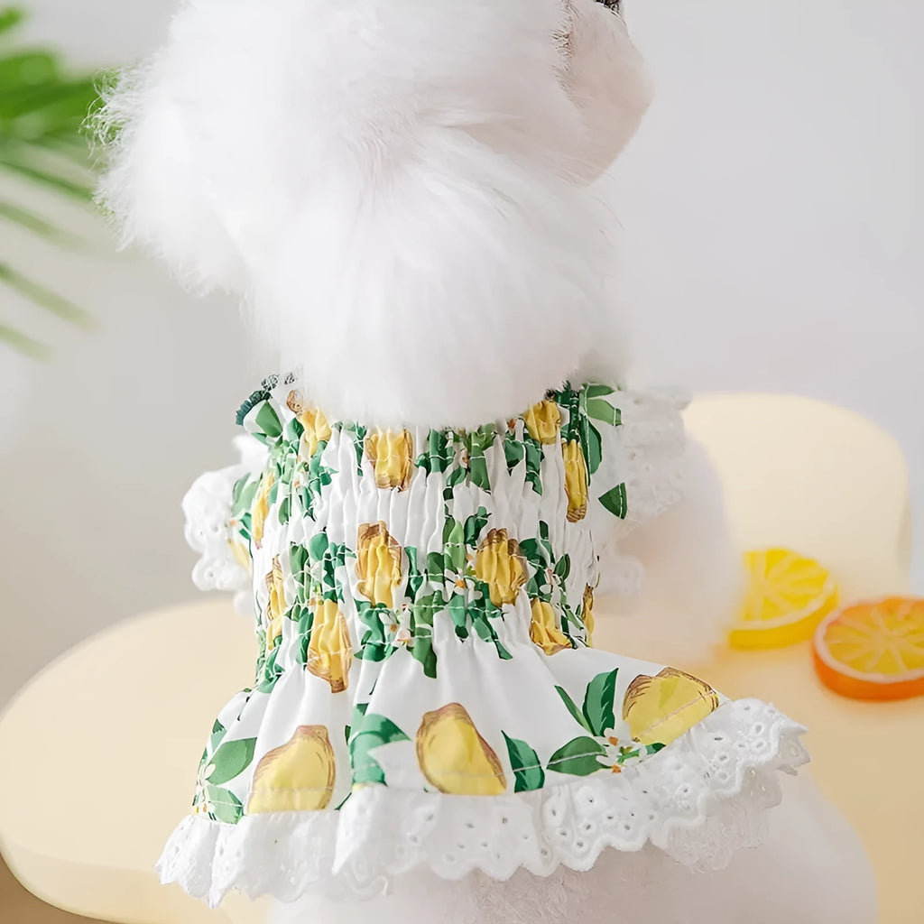 Rock yellow lemon dog dress with thin breathable straps and skirted princess style