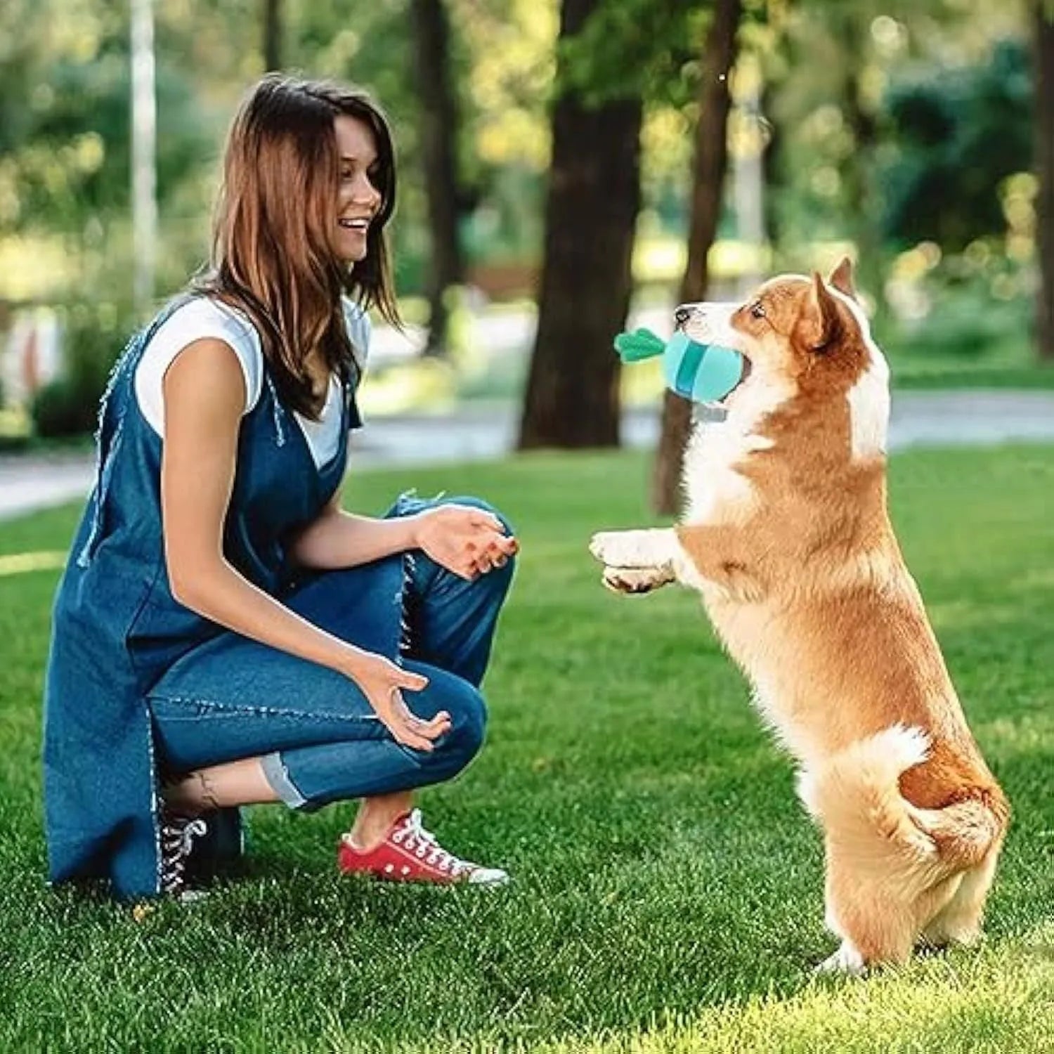Blue and green durable rubber treat dispensing dog toy ball with small holes for medium large dogs