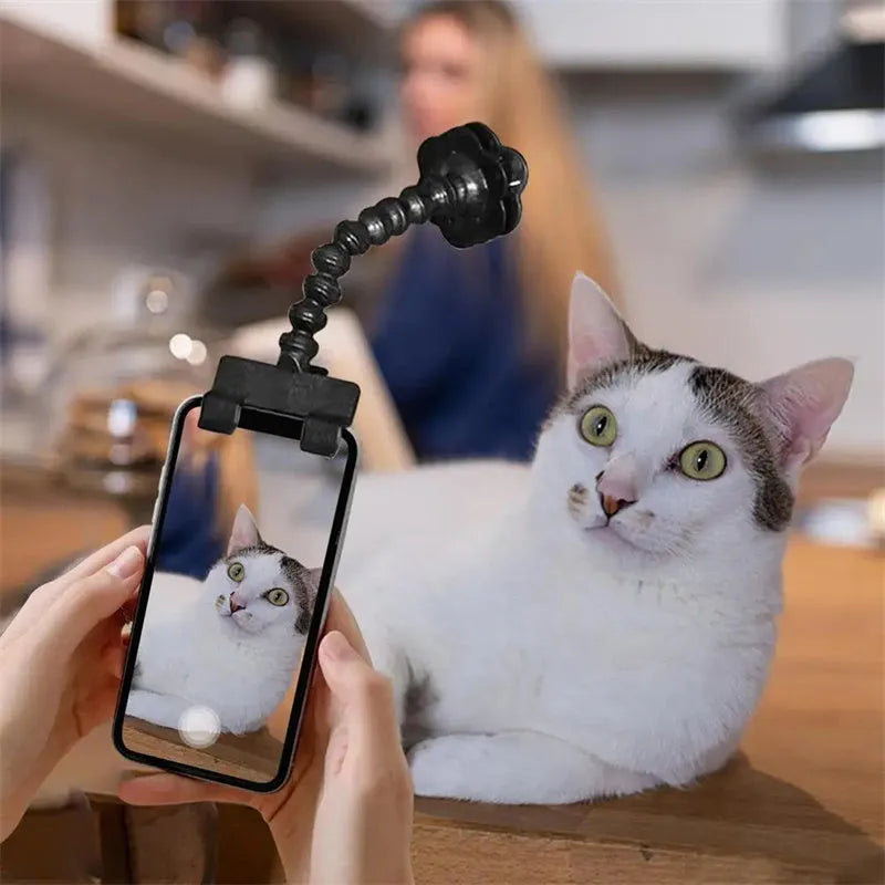 Black pet photography mobile phone holder with snack clip for attracting cat and dog attention during photos