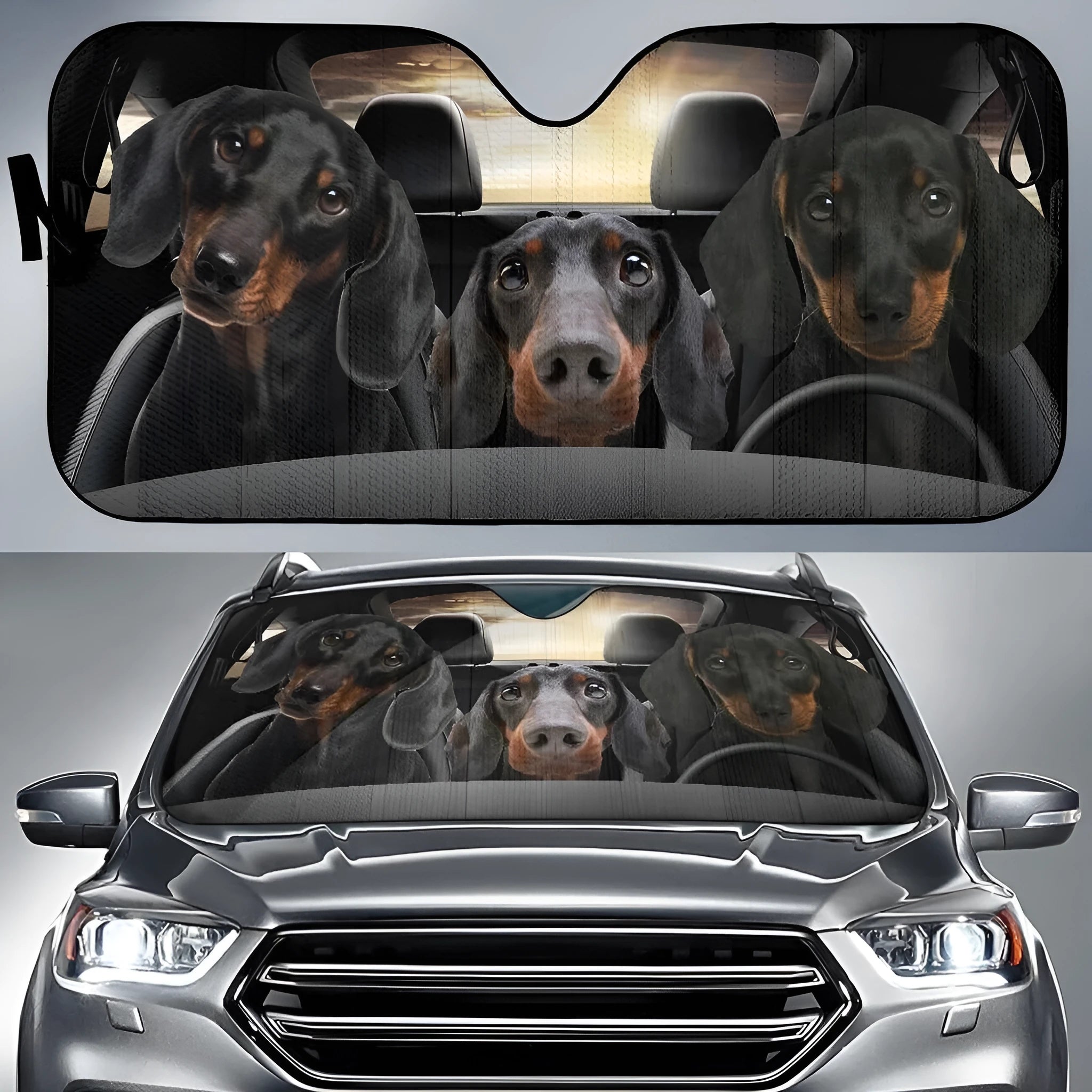 Car front gear snow protection cover with aluminium foil fabric and lanyard installation, size Dog 130 70