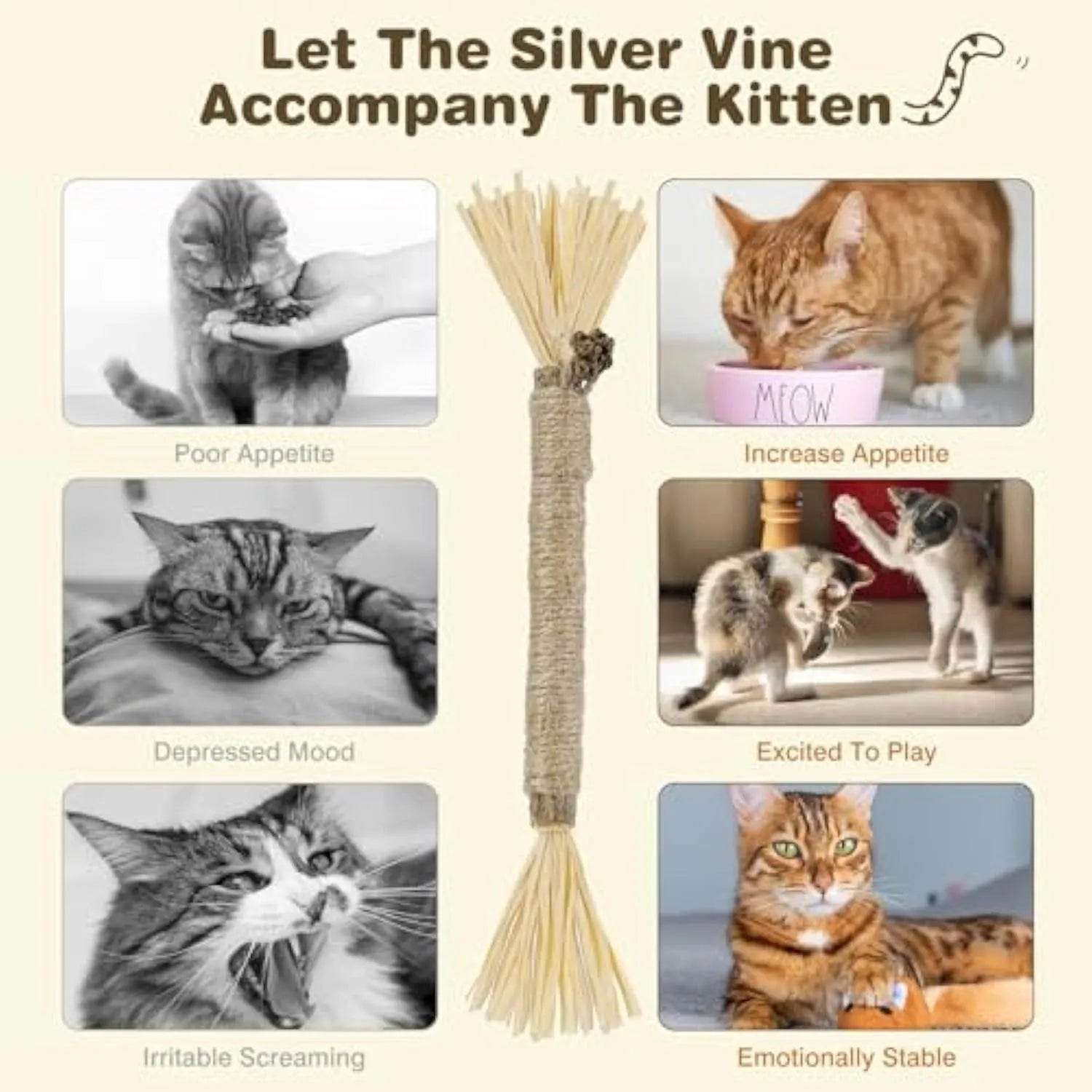 3-pack of natural silvervine chew sticks for cats with sisal rope, showing thick and fine diameter options.