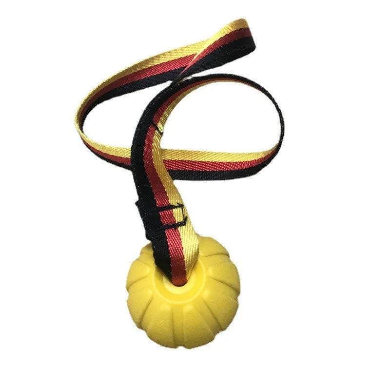 Yellow EVA floating dog ball with string attached, next to a camouflage coloured version on a blue background.