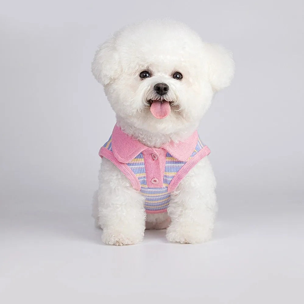 Pink purple dog autumn vest shown on a small dog, with size chart for XXS to XXL.