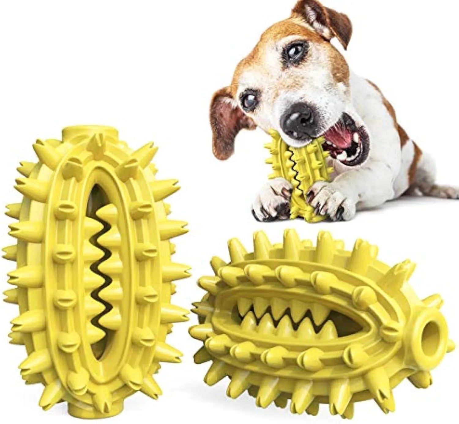 Green cactus-shaped dog toothbrush toy for dental cleaning with textured bumps