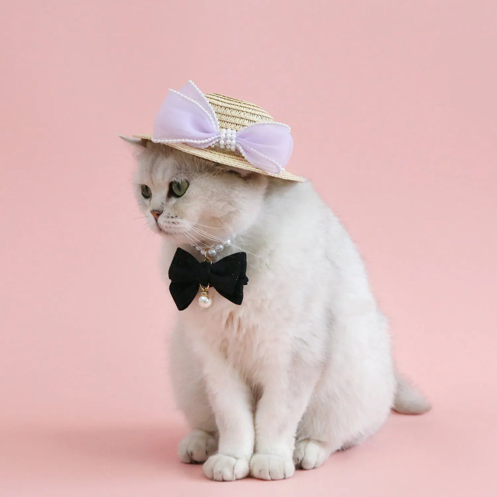 Cat wearing a woven Lafite leaves straw hat with a blue pearl butterfly bow.