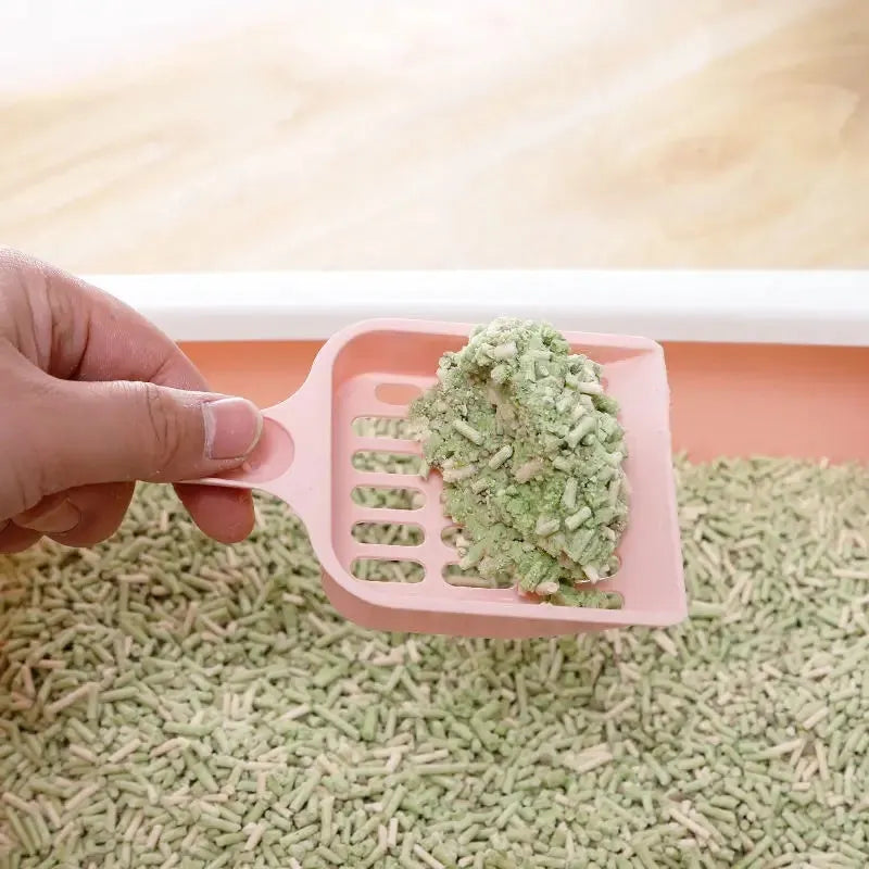Plastic cat litter scoop measuring 20cm long with blue, green and pink colour options