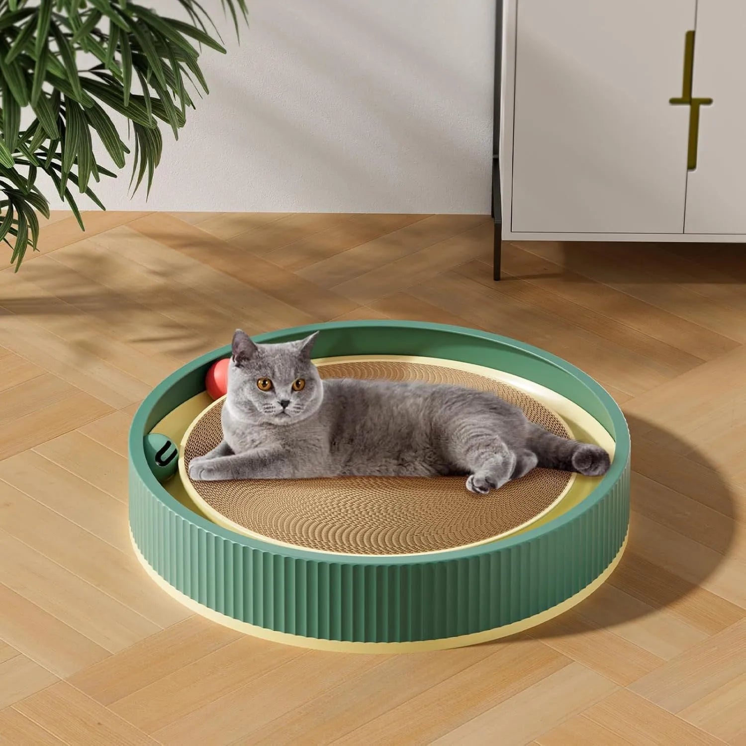 Large circular green and white cat scratching board with bell balls and a refillable cardboard core.