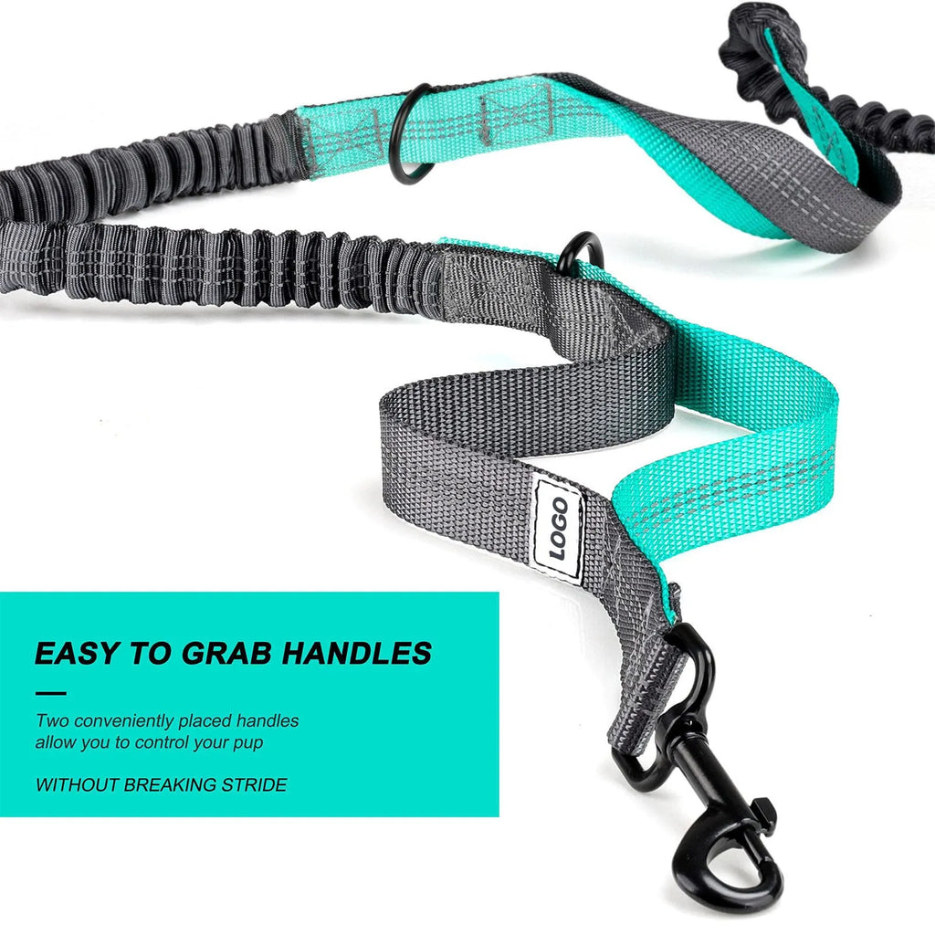 Black waterproof nylon dog walking waist bag set with adjustable leash and matching collar