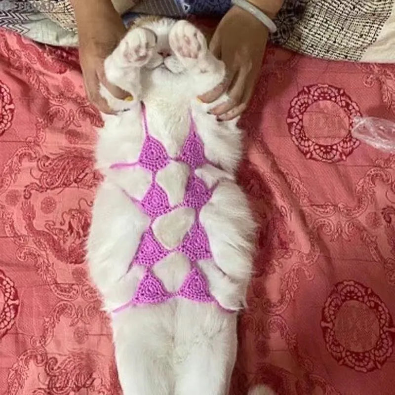 Cat wearing bikini costume in multiple colour options for festival parties