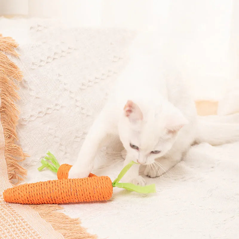 Cat toys bundle with paper crinkle toys, plastic ringing stones, carrot-shaped chews, and grinding sticks