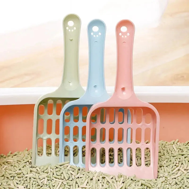 Plastic cat litter scoop measuring 20cm long with blue, green and pink colour options