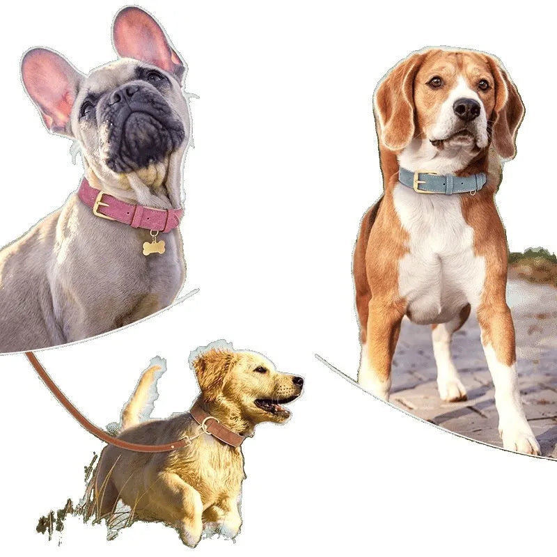Double-layer leather dog collar and matching lead in rose red, brown, or blue for small to extra large dogs.