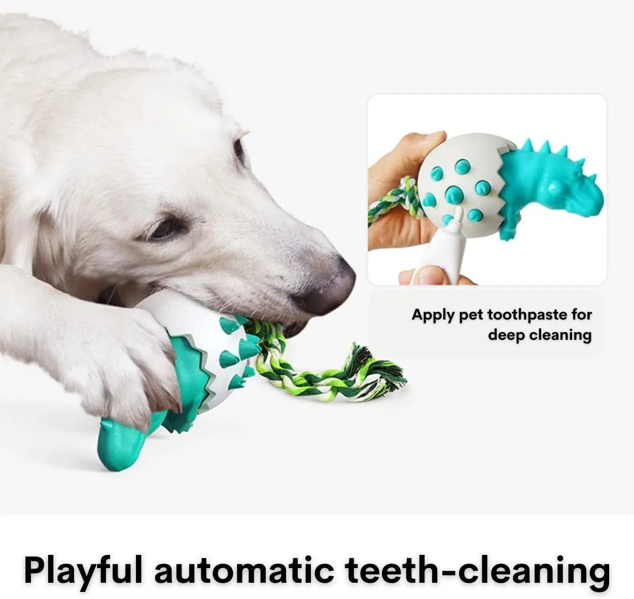 Blue dinosaur-shaped dog chew toy with textured rubber surface and attached nylon rope