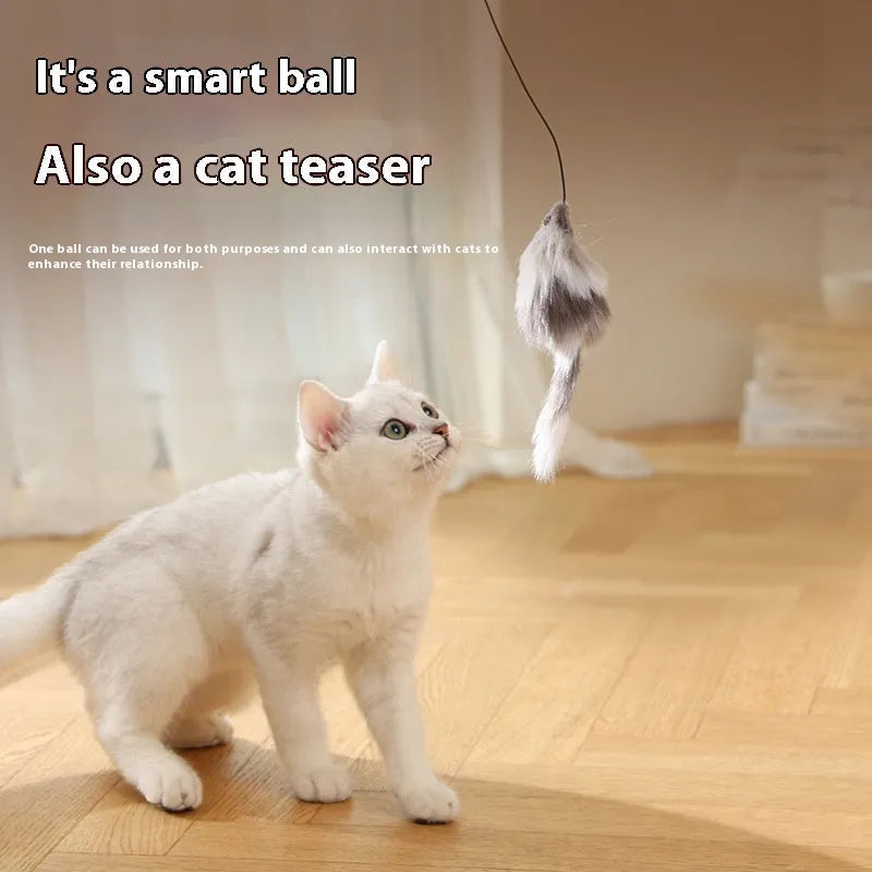 Automatic cat teaser ball toy with plush mouse attachment in blue-orange colour