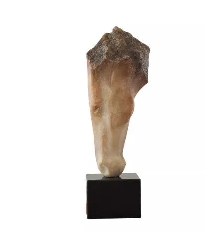 French retro style abstract horse head desktop sculpture with carving surface finish