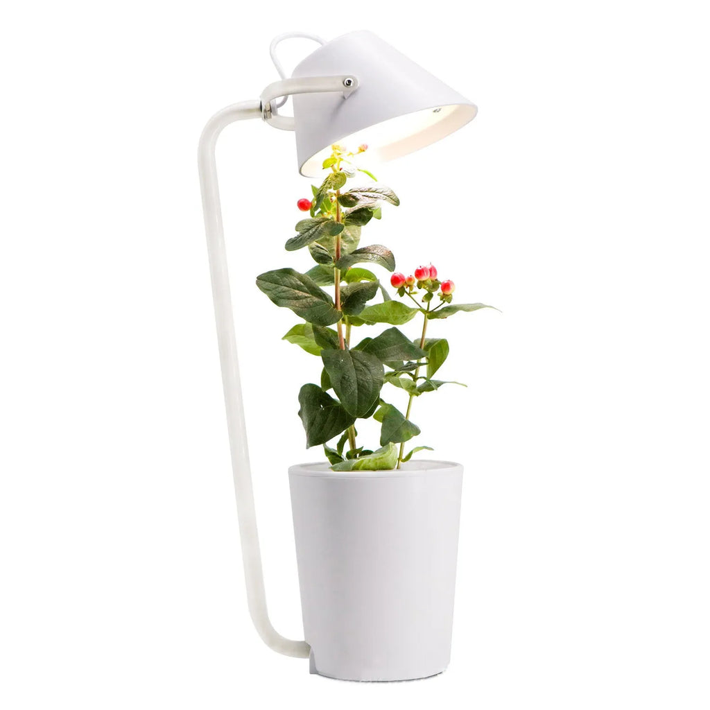White plastic hydroponic container for desktop plant growth with international size compliance labels