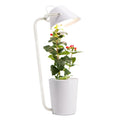 White plastic hydroponic container for desktop plant growth with international size compliance labels