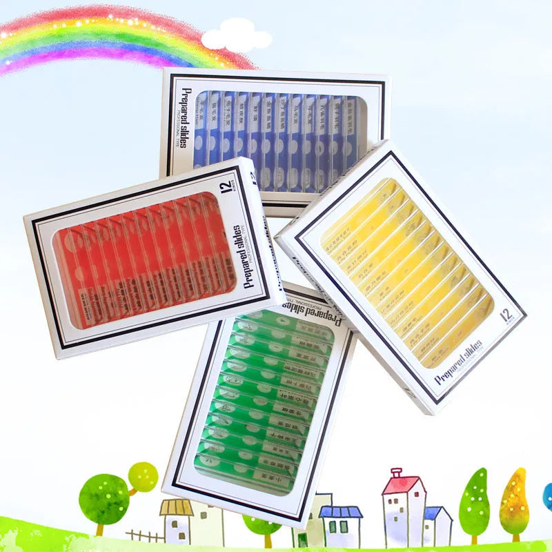 Set of 48 colour-coded plastic microscope slides for children, showing plant, insect, and animal specimens.
