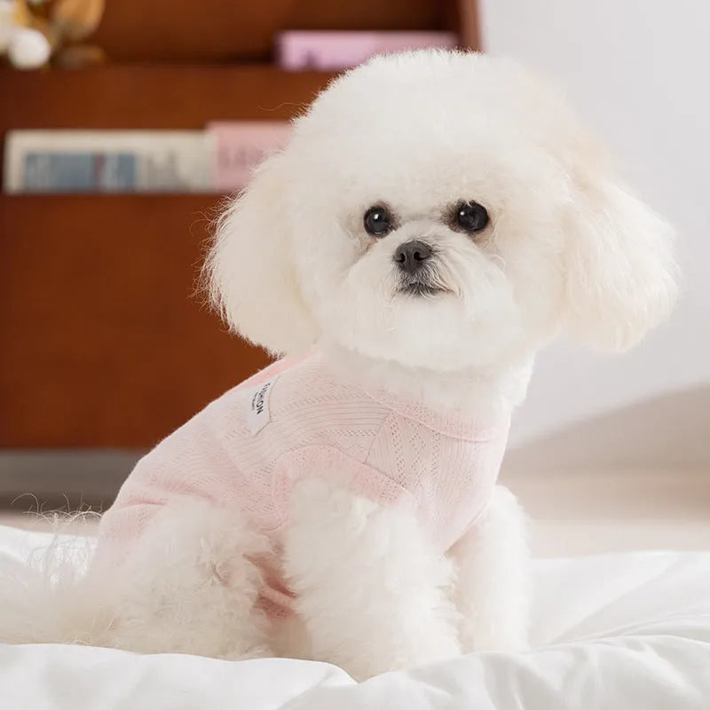 Breathable mesh pet shirt for small dogs and cats in blue or yellow with cat patch and button closure.